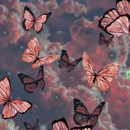 freetoedit mariposa srcpinkbutterflies pinkbutterflies