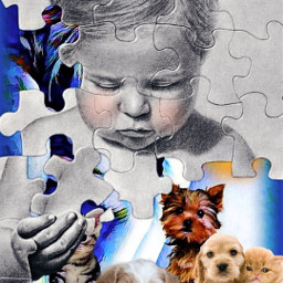 baby babies kitten kittens puppy love adorable puzzle puzzlepieces freetoedit