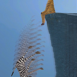 freetoedit zebra cliff motioneffect rcmotioneffect