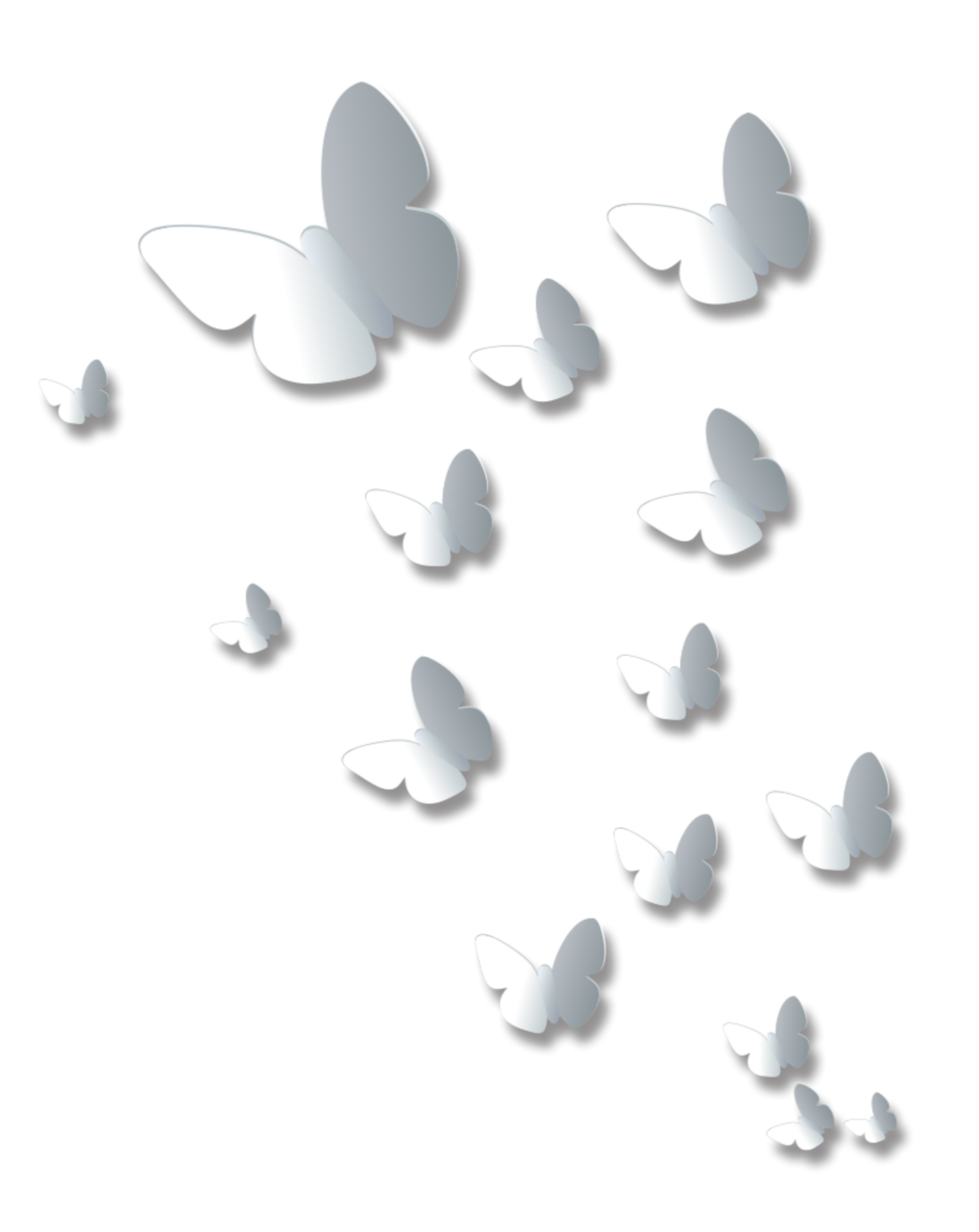 butterflies silver freetoedit sticker by roaminggnome