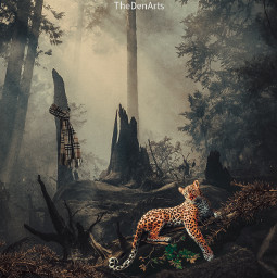 leopard forest nature artawesome thedenarts heypicsart madewithpicsart stayinspired freetoedit