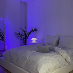 freetoedit bedroom