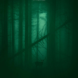 freetoedit picsart night forest scary darkness deer imagination local