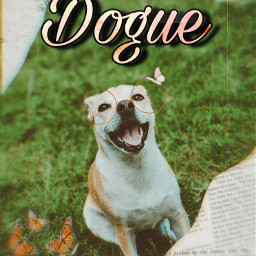freetoedit hashtags dogue magazinecover voguemagazine
