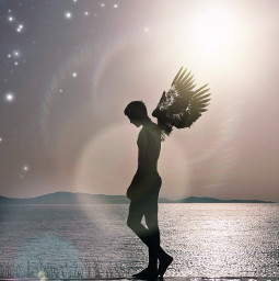 freetoedit brushtool sparkle lensflare wings angel ircsunsetsilhouette sunsetsilhouette