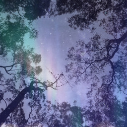 freetoedit trees aesthetic space lights stars
