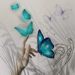 hands manos buterflies mariposas freetoedit ircgentlehand gentlehand