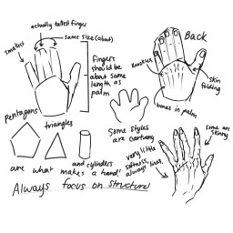 freetoedit referencesheet hand drawhands howto howtodrawhands