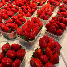 freetoedit strawberries red fresas interesting food fruit