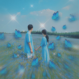 blue butterfly butterflies bluebutterflies bluebutterfly couple feild picoftheday outside outdoor spring springtime nature flower flowers blureffect picsartreplay replay makeawesome beautiful mastercontributor lovely freetoedit rcluminousbutterflies luminousbutterflies