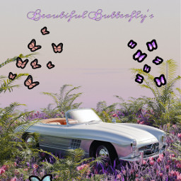 freetoedit butterflies beutiful bugslife butterfliescrown