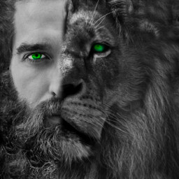 lion face manface lionface halfhuman surrealism blackandwhite drawtool madewithpicsartdrawingtools lionsmane colorsplash neoncolor noengreen freetoedit local