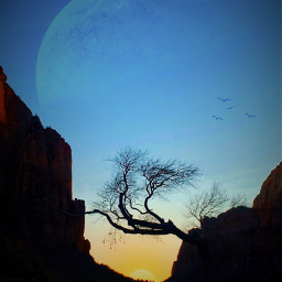 freetoedit replay background planet moon sun sol light luz bird birds flying animal animals filler overlay vingette