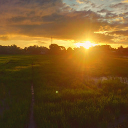 photography mobilephotography nature naturephotography sunset goldenhour philippines zamboanga landscape freetoedit
